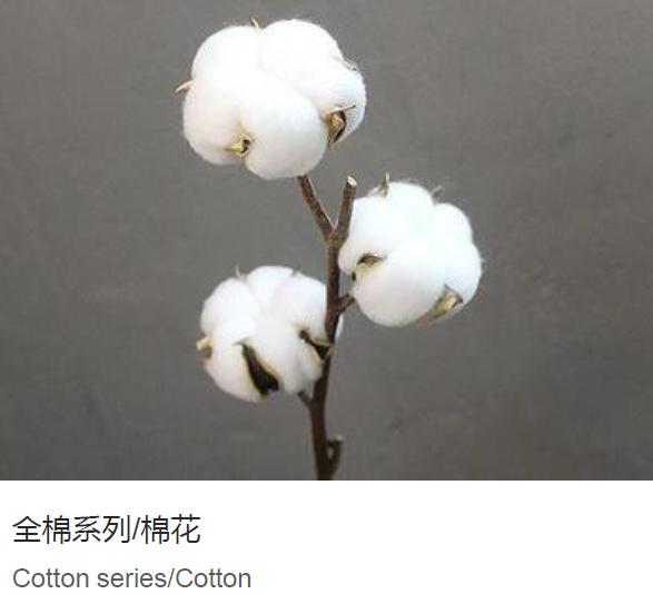 コットン不織布/綿不織布