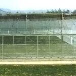 中国製 POコーティングフィルム