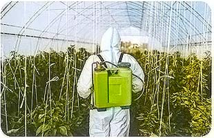 抗薬剤POフィルムの農薬使用環境イメージ