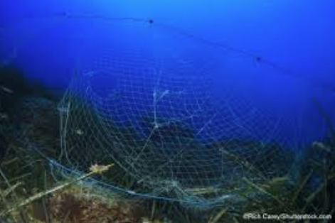 漁業から発生する海洋ごみ