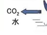 生分解性Co2イラスト