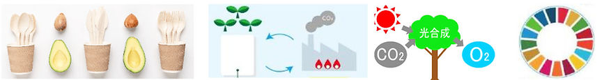 バイオマスプラスチックについてイラスト