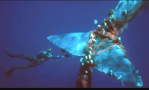 漁業から発生する海洋ごみ