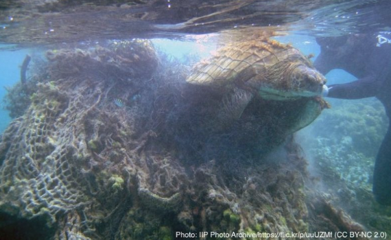 漁業から発生する海洋ごみ